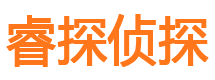 岭东侦探公司